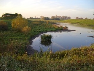 Testfoto