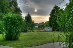 Testfoto